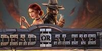 Играть Бесплатно или на деньги в игровые автоматы Dead Or Alive 2